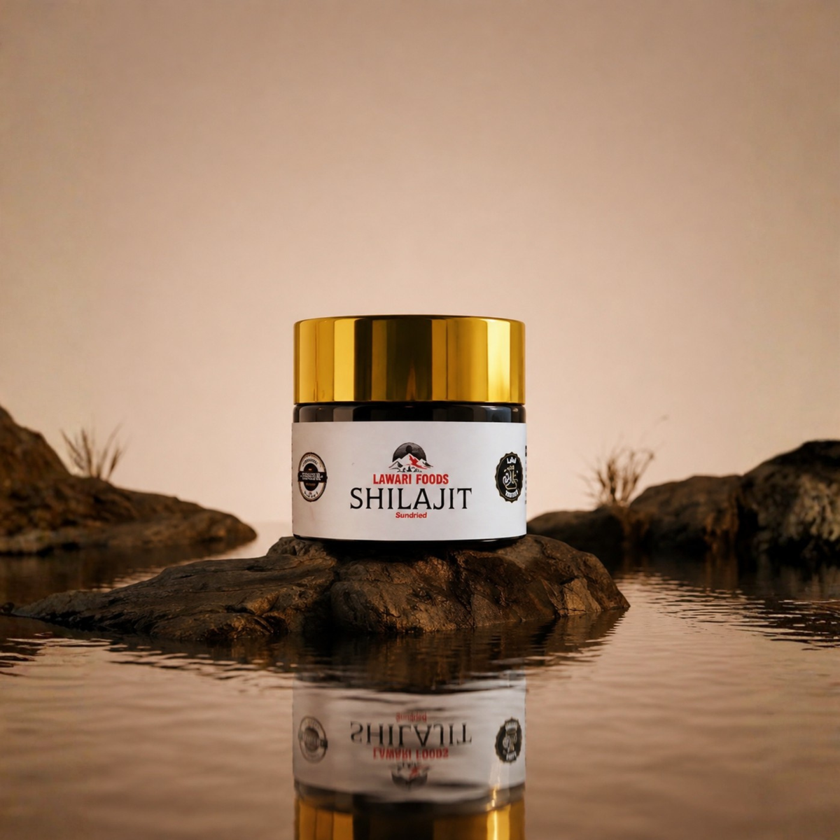 Shilajit Resin - 12g