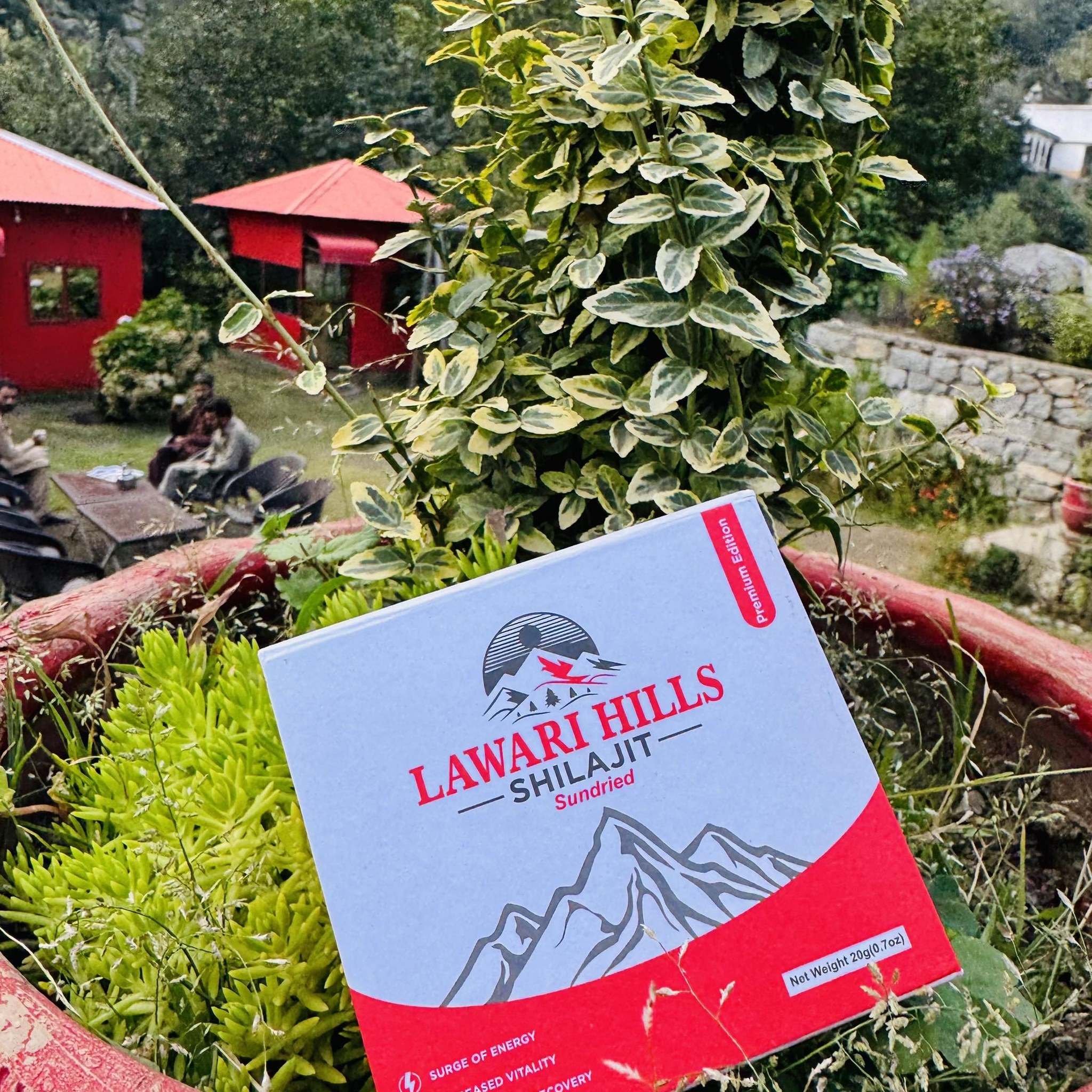 Pure Shilajit Resin – Lowari Pass, Hindukush